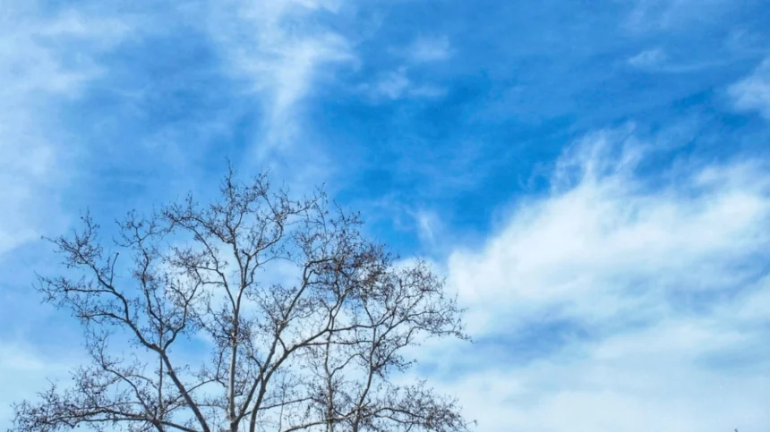 Meteo